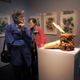 HFoM Eroffnung 19 gr